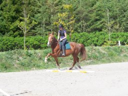 IMG_0529_web